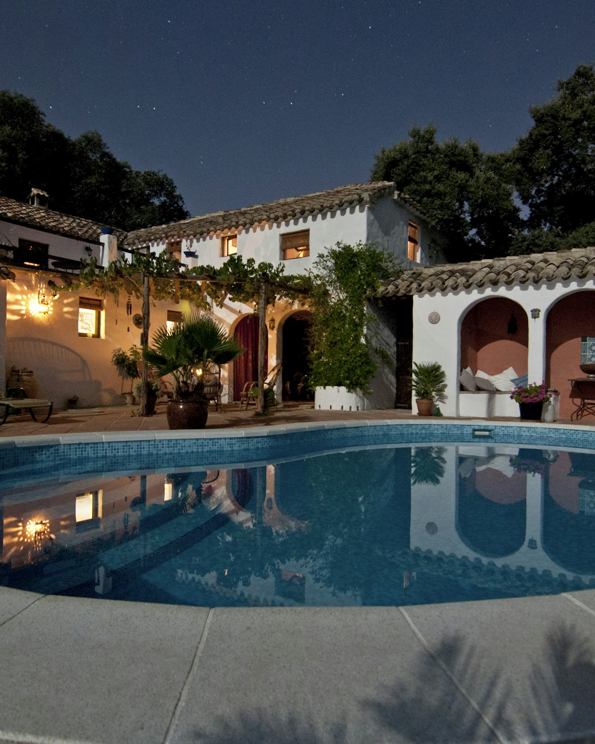 Landscaped estate home with layered garden beds and manicured lawn completed in Constantia
