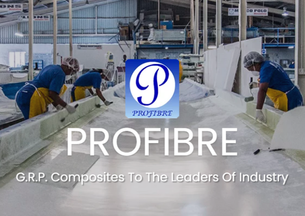 Professional website design - profibre