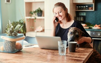What Is Included in a Website Design Package?